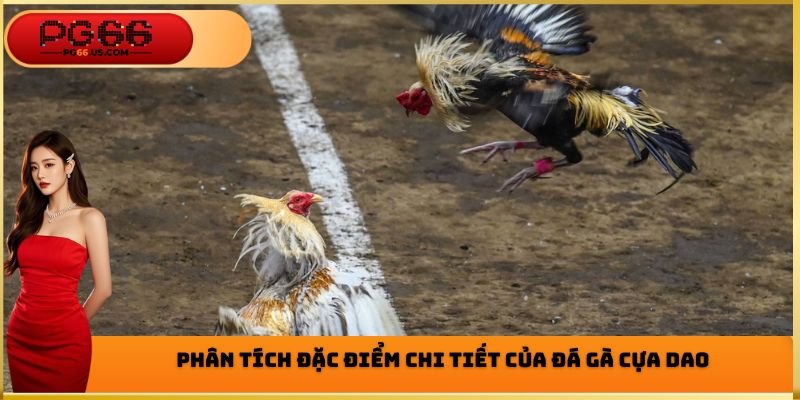 Phân tích đặc điểm chi tiết của đá gà cựa dao